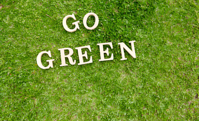 10 Ways to Be More Green