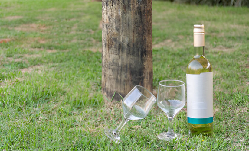 6 Eco-Wines to Try