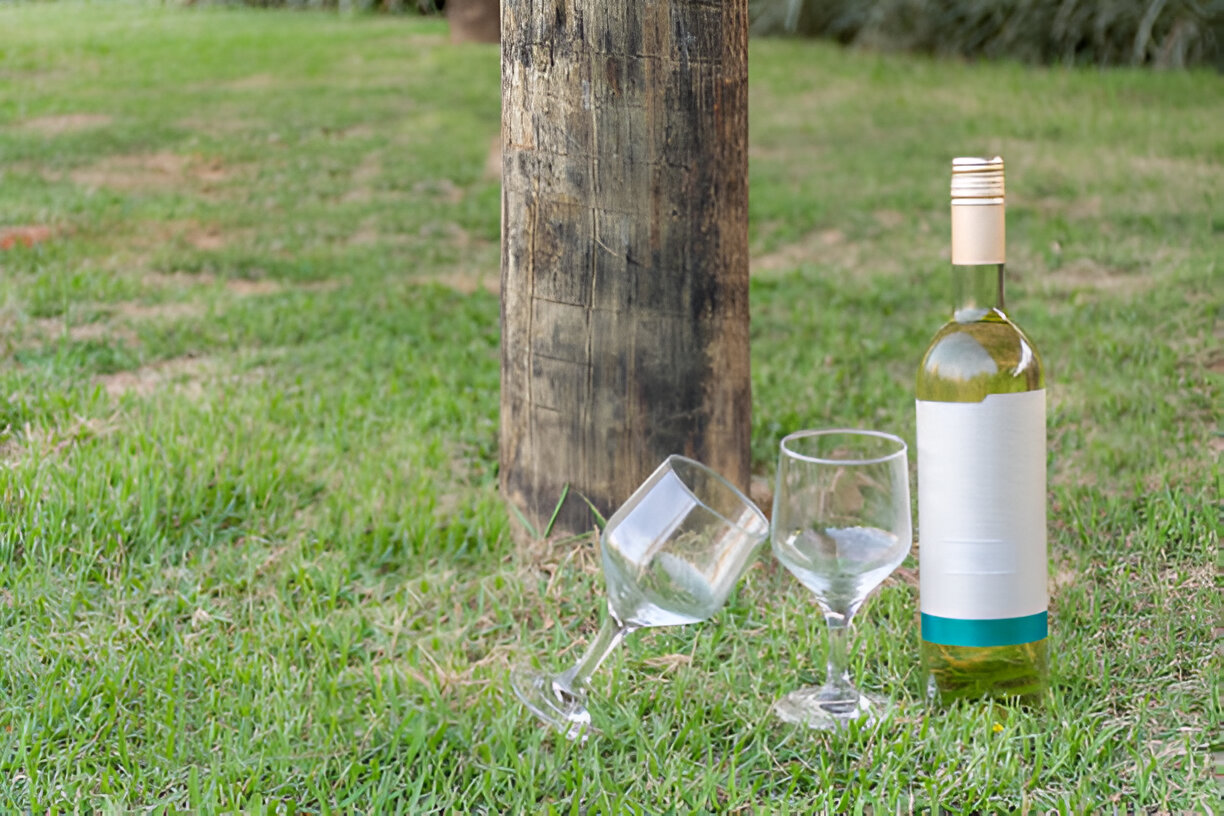 6 Eco-Wines to Try