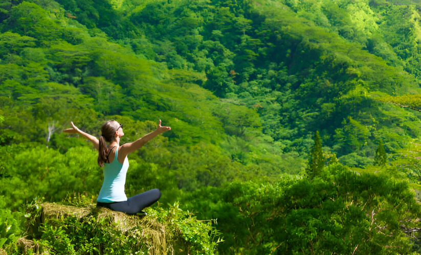 Pick Your Paradise – Whole Living Wellness