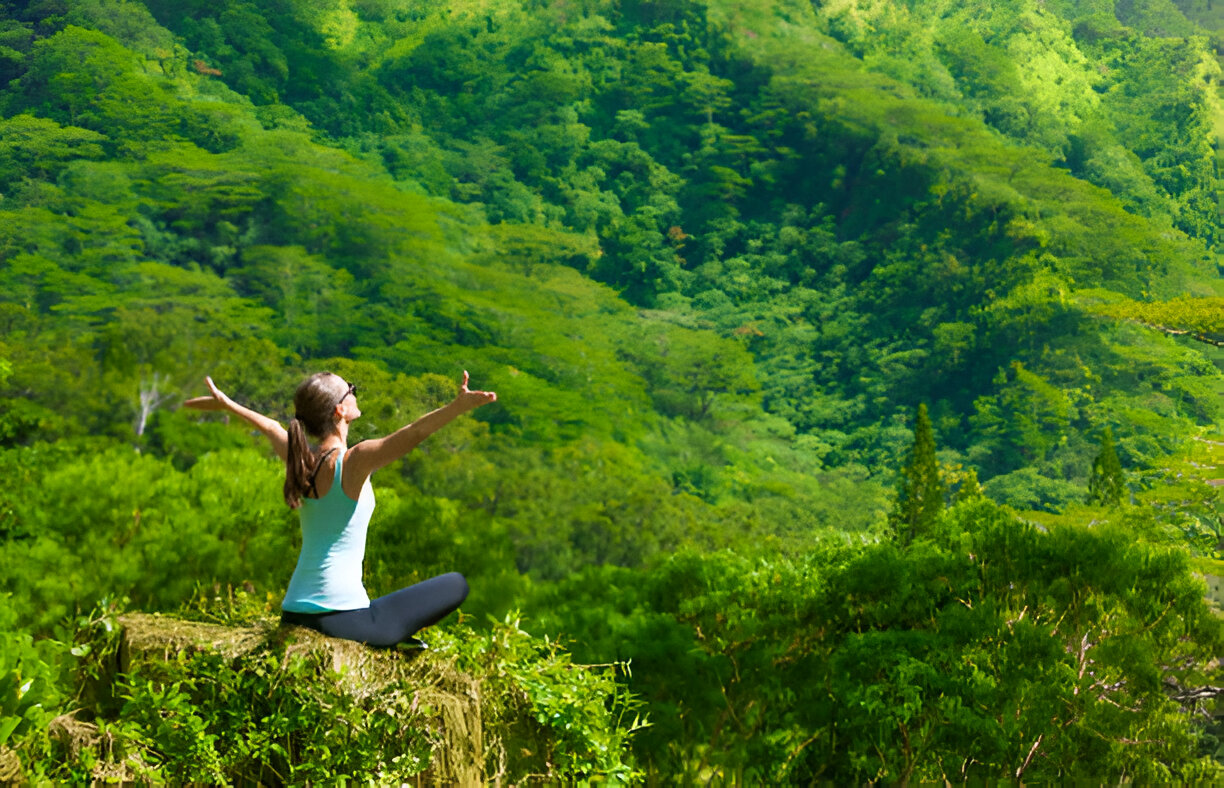 Pick Your Paradise – Whole Living Wellness