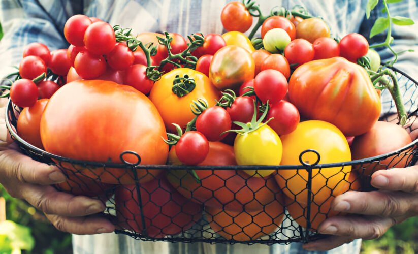 Heirloom Tomatoes | Whole Living