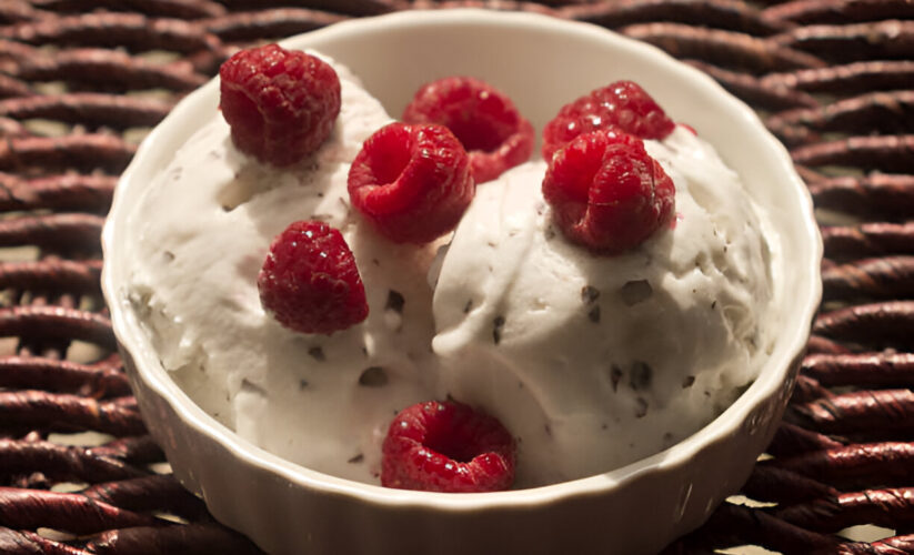 Raspberry-Ricotta Ice Cream | Whole Living Eat Well