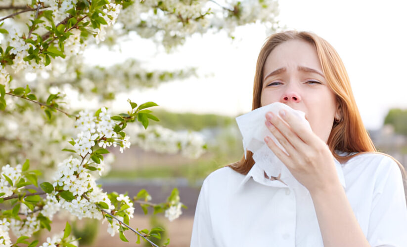 8 Ways to Ease Seasonal Allergies – Whole Living Wellness