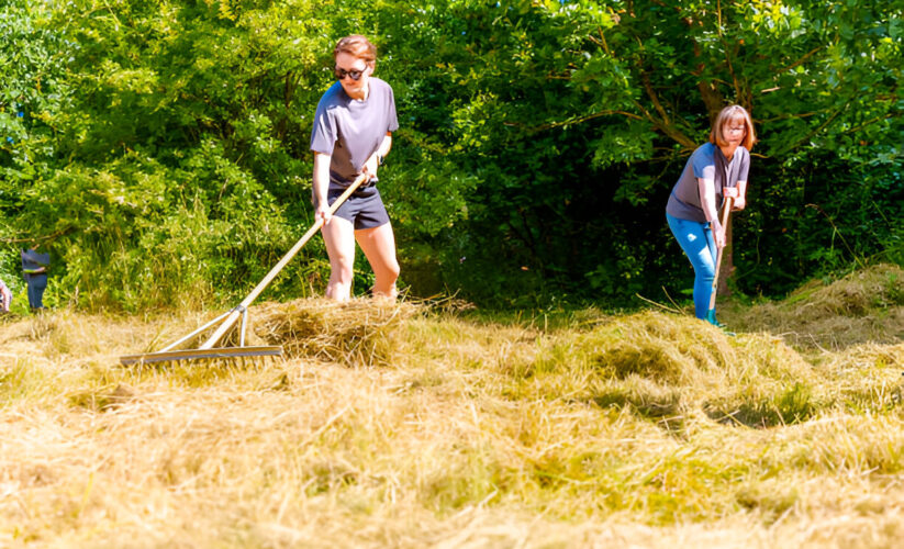 How to Start Composting