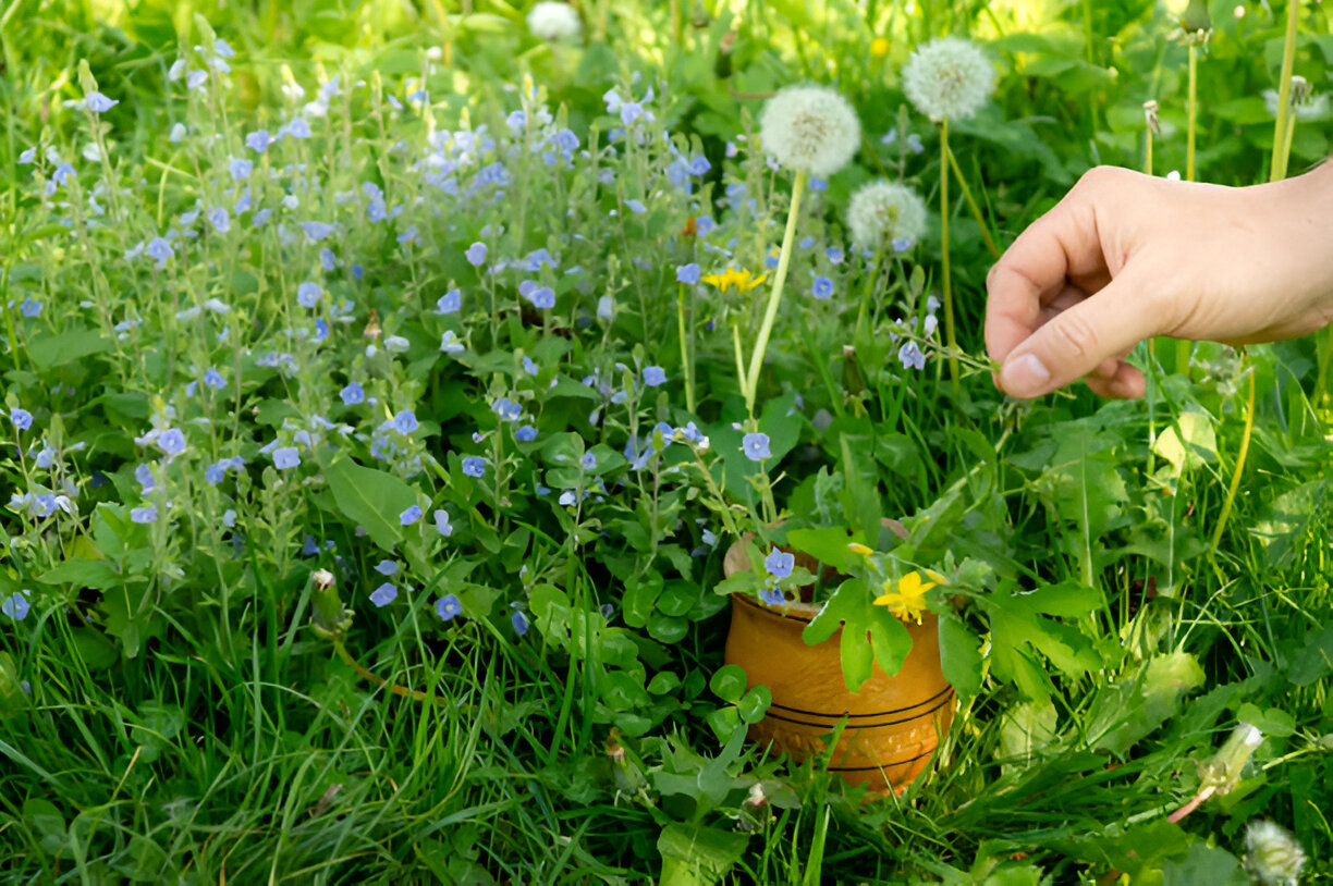 Allergy Tips for Gardeners