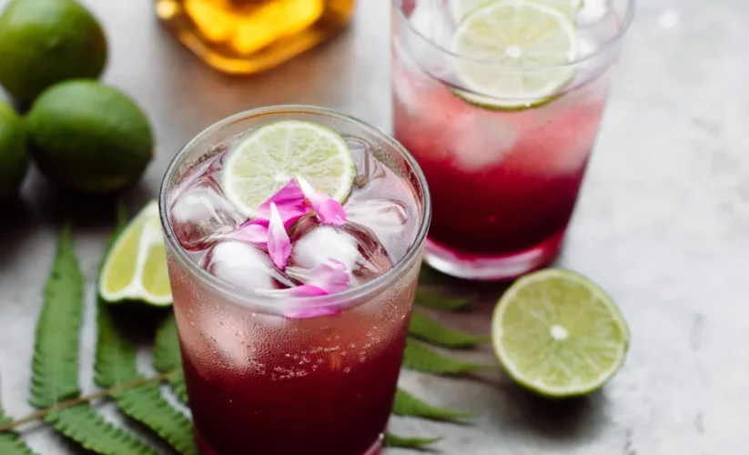 Hibiscus Tea with Lime – Whole Living Eat Well